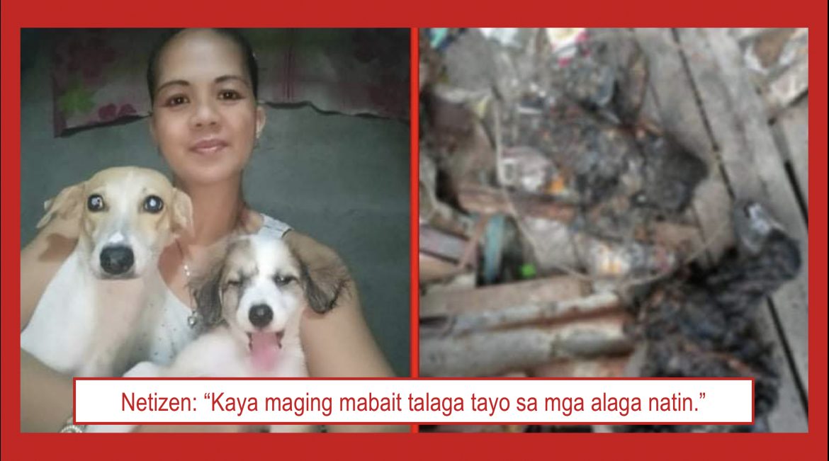 VIRAL: Larawan ng dalawang aso na nagligtas sa mga anak ng kanilang amo mula sa sunog